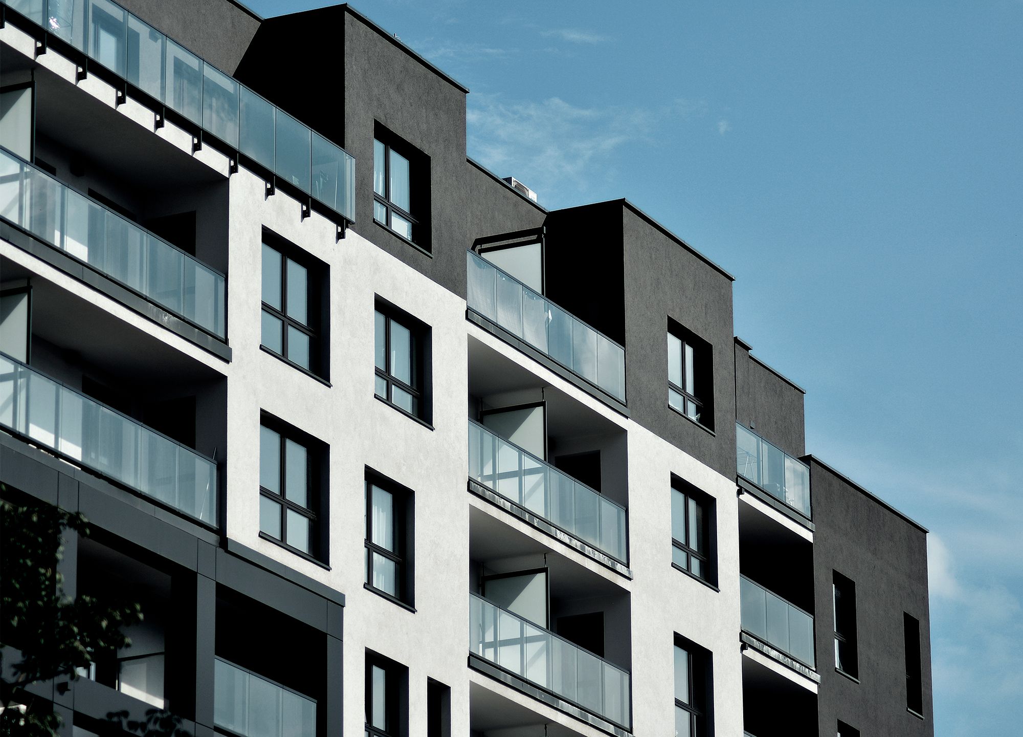 Imagen: Finques DF_DANIGUALSTUDIO_2000x1440.655.jpg